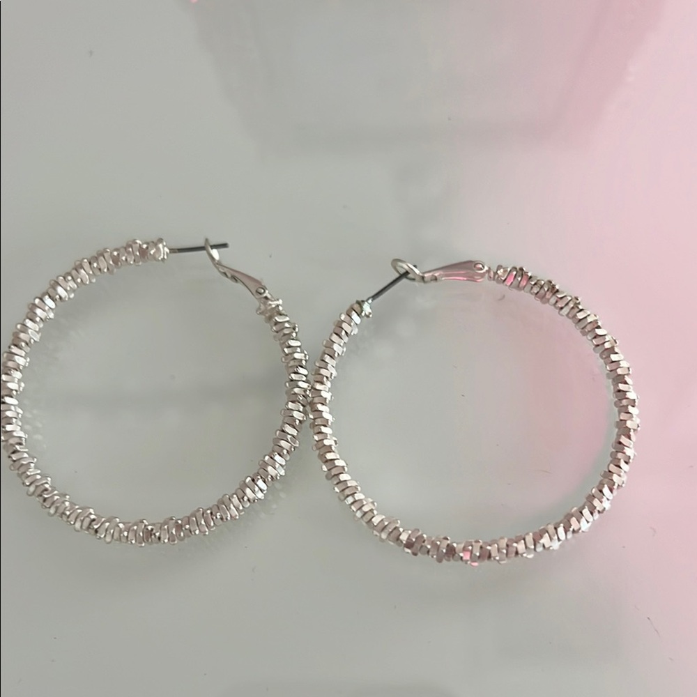 Elegant Silver Hoop Earrings